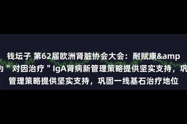 钱坛子 第62届欧洲肾脏协会大会：耐赋康&reg;最新研究结果为＂对因治疗＂IgA肾病新管理策略提供坚实支持，巩固一线基石治疗地位