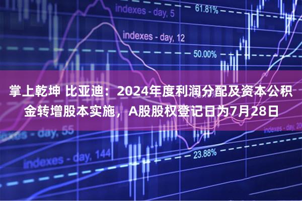 掌上乾坤 比亚迪：2024年度利润分配及资本公积金转增股本实施，A股股权登记日为7月28日
