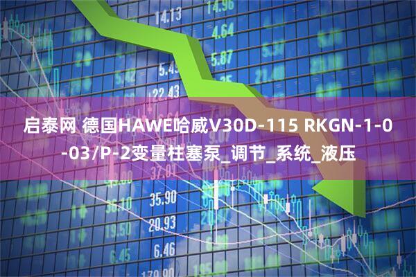 启泰网 德国HAWE哈威V30D-115 RKGN-1-0-03/P-2变量柱塞泵_调节_系统_液压