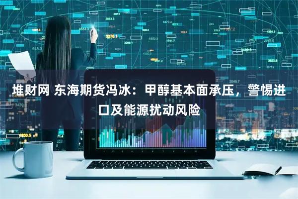 堆财网 东海期货冯冰:甲醇基本面承压,警惕进口及能源扰动风险