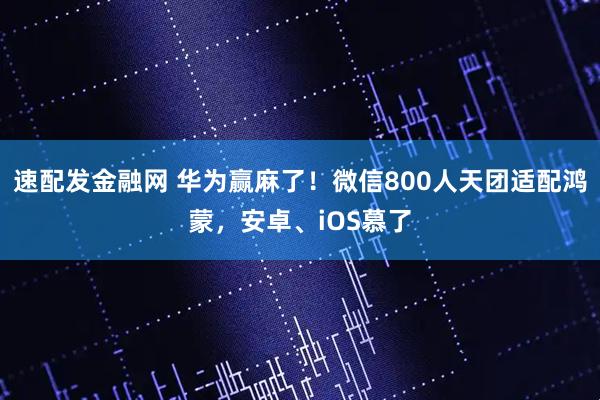 速配发金融网 华为赢麻了！微信800人天团适配鸿蒙，安卓、iOS慕了